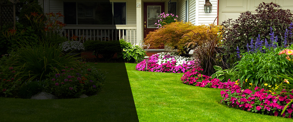 Coldwater Landscapers