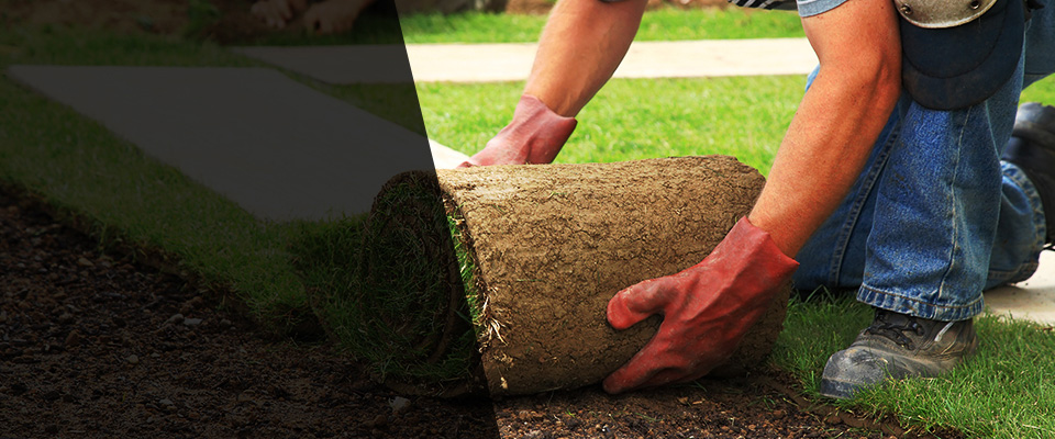 Coldwater Landscapers